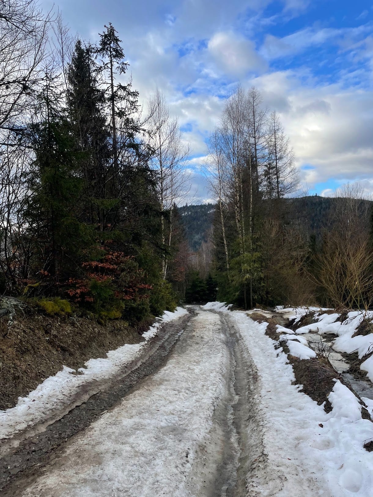 Turbacz Winter Trail 2024 [RELACJA]