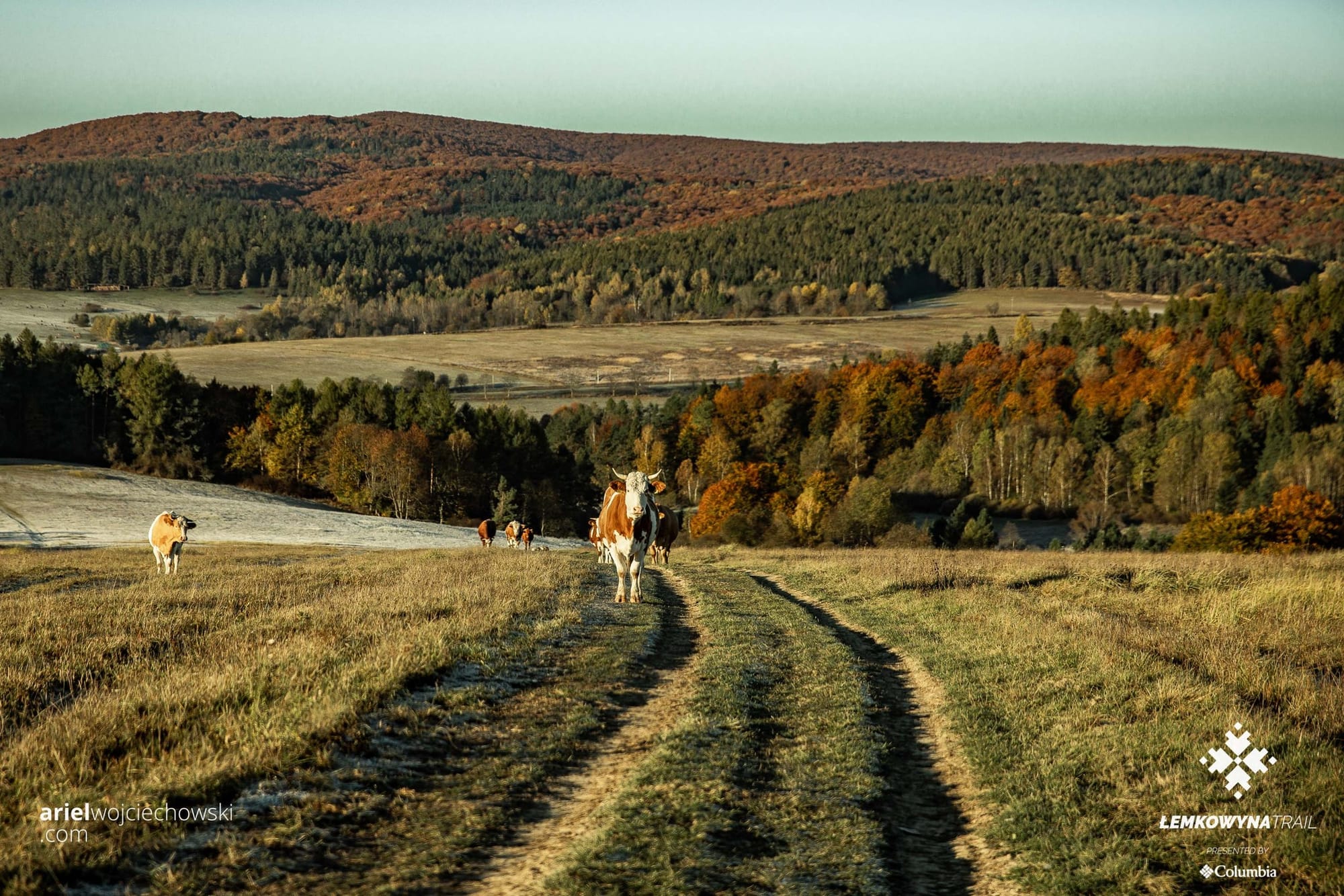 Łemkowyna Ultra Trail 48 [relacja 2024]